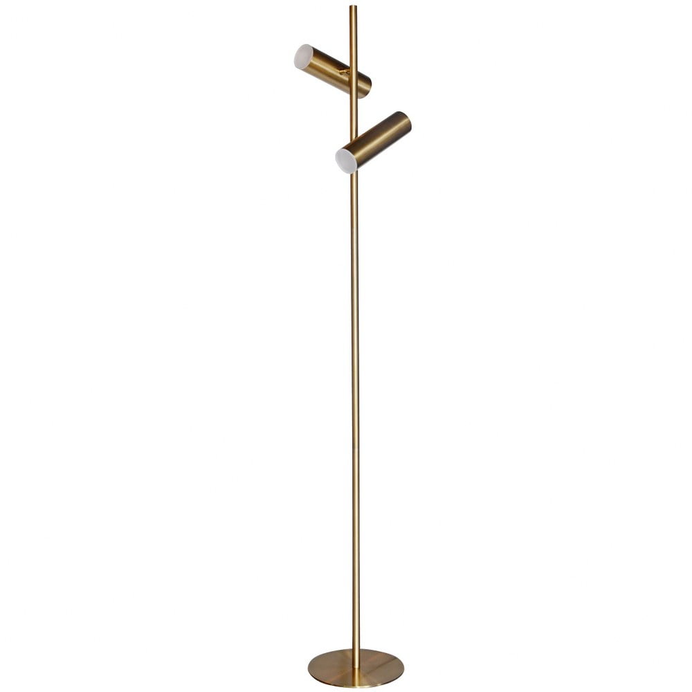 Aged Brass Adjustable Dual LED Floor Lamp