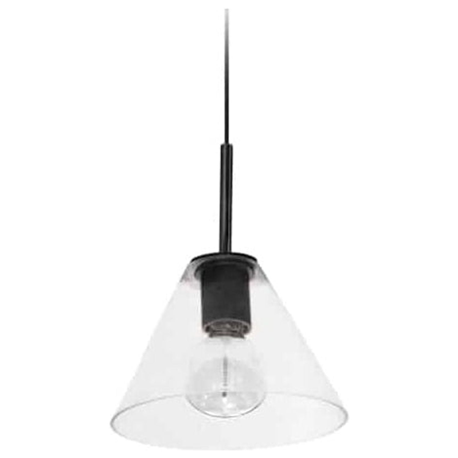 Roswell 9'' Matte Black Transitional Pendant with Clear Glass