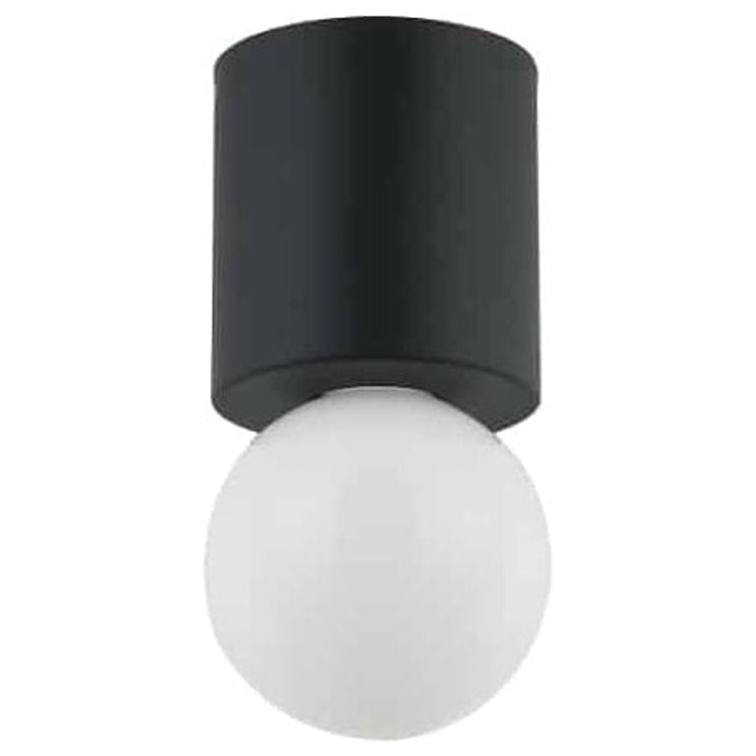 Matte Black Globe Glass Indoor/Outdoor Ceiling Light