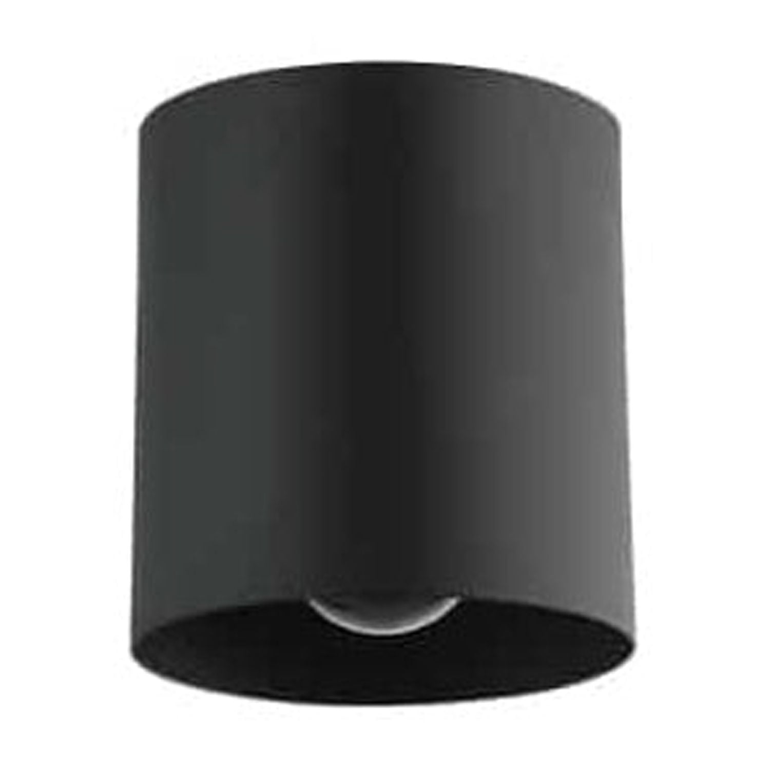 Matte Black Glass Globe Indoor/Outdoor Ceiling Light