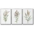 thumbnail image 1 of Dainty Botanical I - Framed Premium Gallery Wrapped Canvas L Frame 3 Piece Set - Ready to Hang, 1 of 4