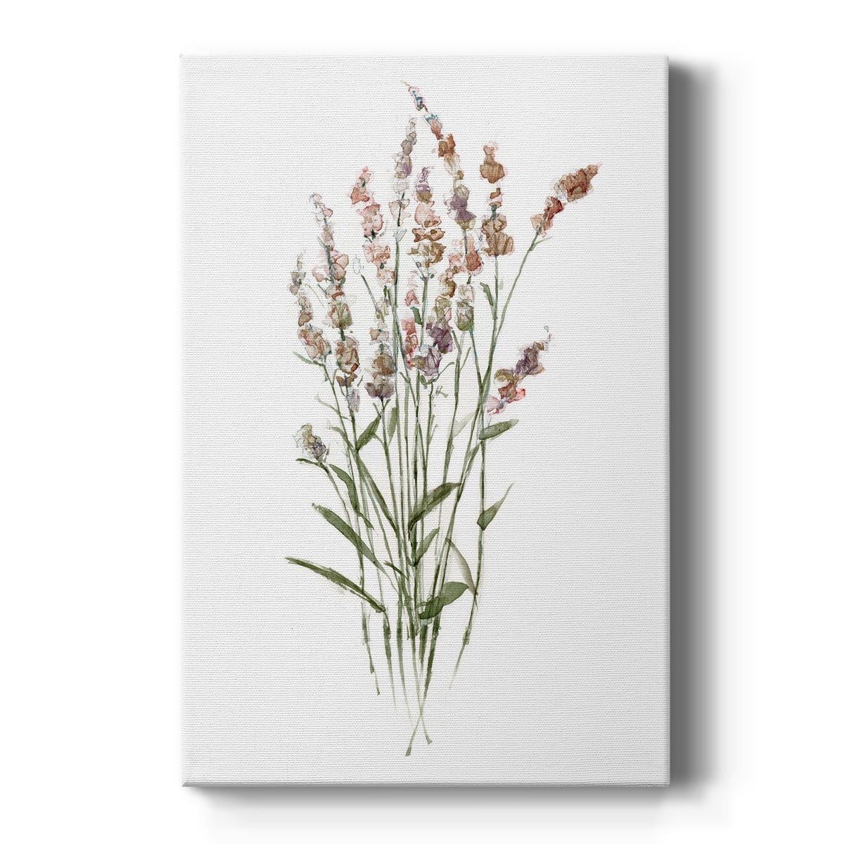 Dainty Botanical II Premium Gallery Wrapped Canvas - Ready to Hang