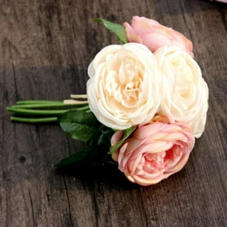 Rosnek Real Preserved Forever Roses in Gift Box, Fresh-Cut Eternity Flower,  Red, 1/7/8Pcs 