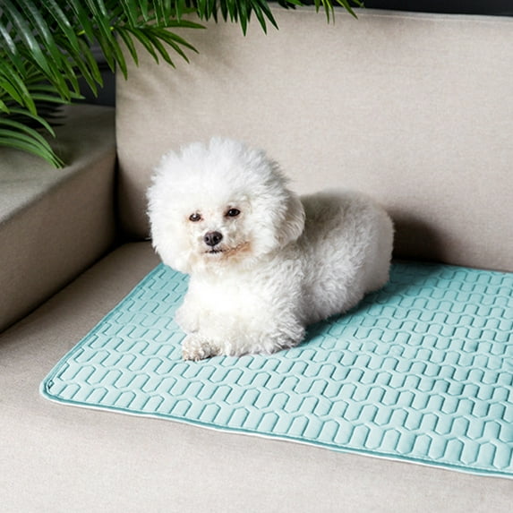 Daiosportswear Cooling Mat, Self-Cooling Pet Blanket for s, 23.6x17.7in, Gray/Green/Beige/Blue, Outdoor/Indoor Use, Summer Cool Down, Pet Bed Pad, Breathable & Easy Clean