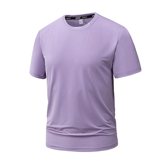 Daiosportswear Men's Short Sleeve T-Shirt Quick Dry Workout Athletic Running Swim Tops Tee Rash Guard Performance Shirts Purple XXXXL(XXXXL)