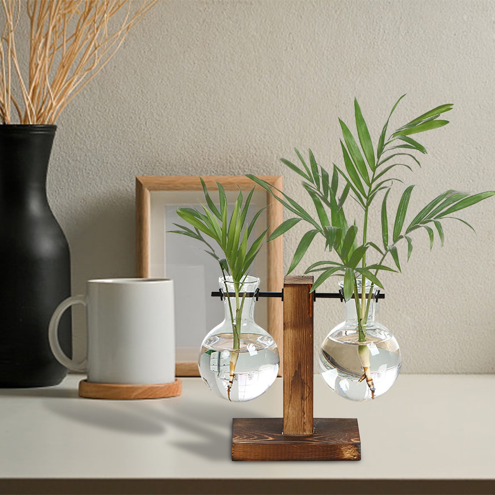 Daiosportswear Plant Terrarium with Wooden Stand, Air Planter Bulb