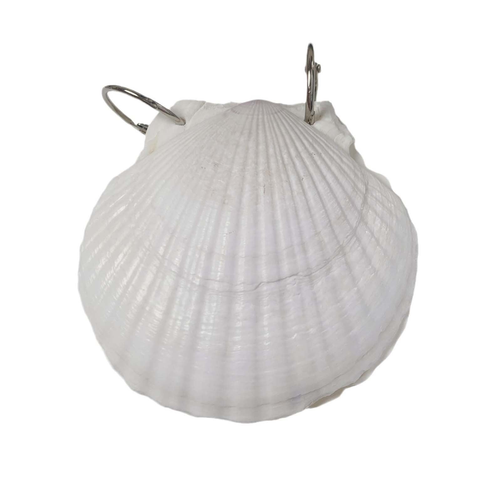 Daiosportswear Scallop Shell Journal 2025 New Unique Premium Hardcover Daiosportswear Scallop Shell Journal 2025 New Unique Premium Hardcover Ocean Series Sticky Note Pad Natural Shells Textures Creative Sketchbook E6beae36 5c2c 42b9 8c0d Bc3406943ce6.a7560f326903c9371815f27854fd4c82