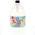 Daiquiri to Use Gallon (128 Fl. Oz) Hawaiian Snow Cone Flavors Syrup
