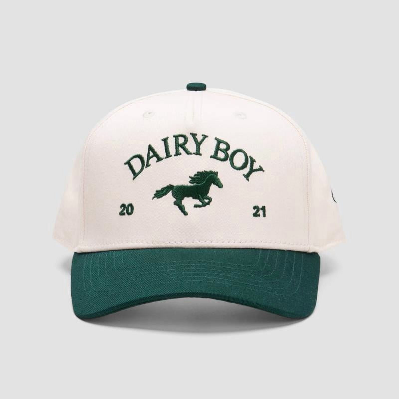 Dairy Boy Hat, Vintage Embroidered Baseball Cap with Horse  display picture 1