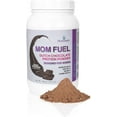 DairyFree Meal Replacement Protein Powder for Women Plant & Collagen