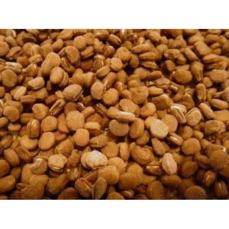 American Ginseng Seed, 1/4 lb, Stratified for High Germination, Ideal for  Shady Locations - Walmart.com