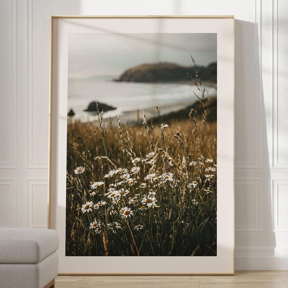 Daisies By The Ocean Poster, Nature Photography Of Flowers On The Beach ...