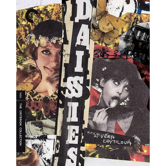 Daisies (Criterion Collection)