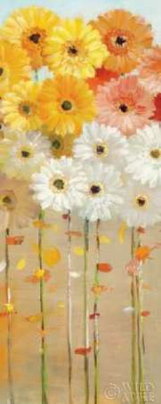 Daisies Fall I Canvas Art - Danhui Nai (24 x 48)