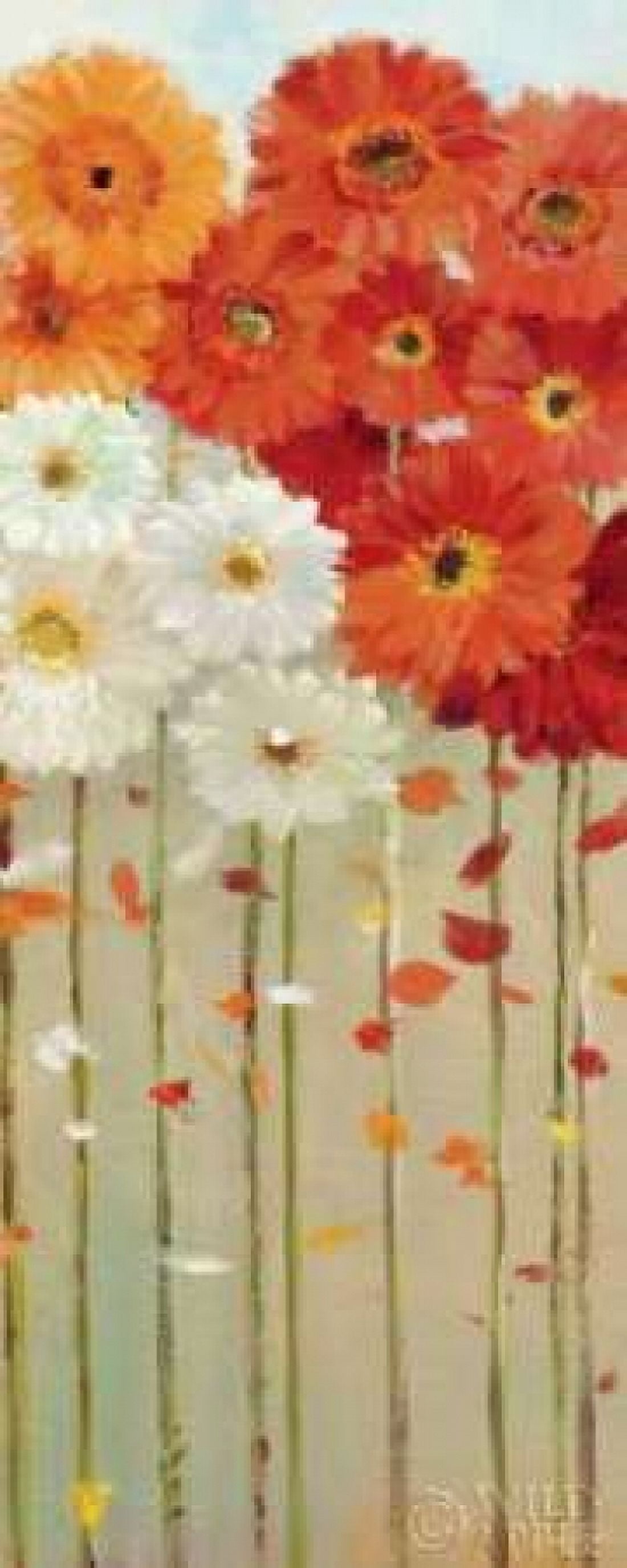Daisies Fall II Canvas Art - Danhui Nai (24 x 48)