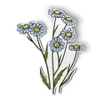 thumbnail image 1 of Daisies Pretty Wildflowers - 5" Magnet for Car Locker Refrigerator, 1 of 1
