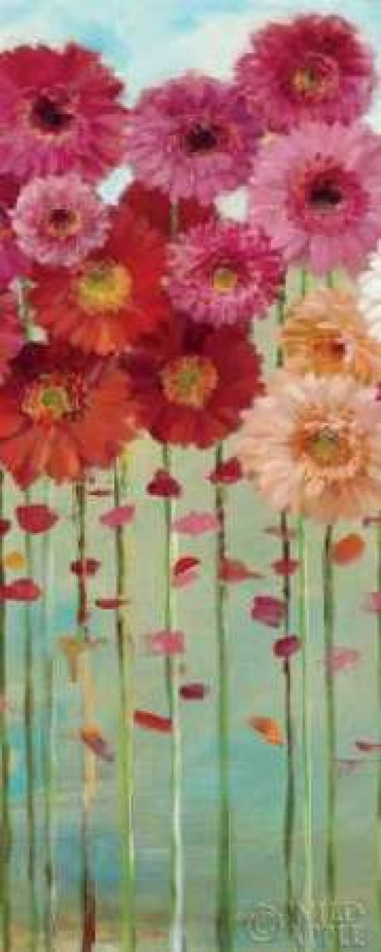 Daisies Spring II Canvas Art - Danhui Nai (24 x 48)