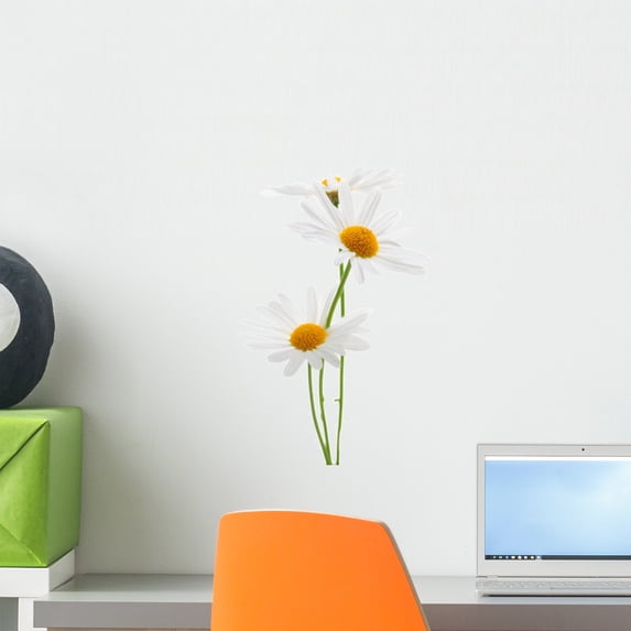 Daisies White Wall Decal by Wallmonkeys Peel and Stick Graphic (18 in H x 6 in W) WM212389