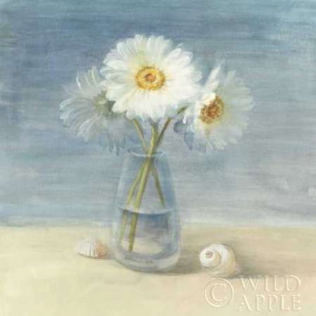 Daisies and Shells - Wag Canvas Art - Danhui Nai (24 x 24)