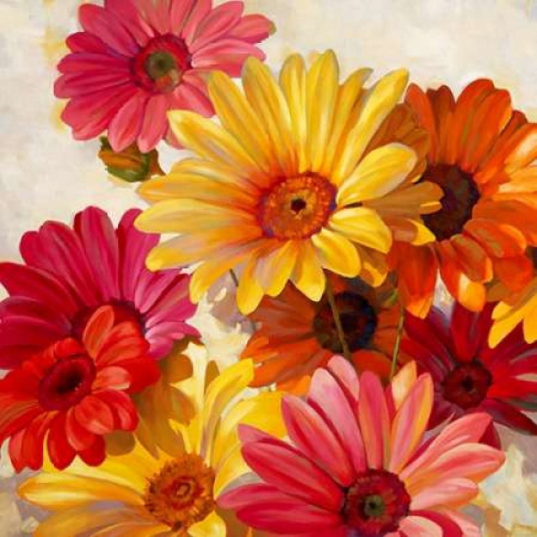 Daisies for Spring Canvas Art - Emma Styles (24 x 24)