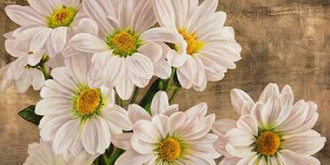 Daisies in the Moonlight Canvas Art - Jenny Thomlinson (10 x 20)