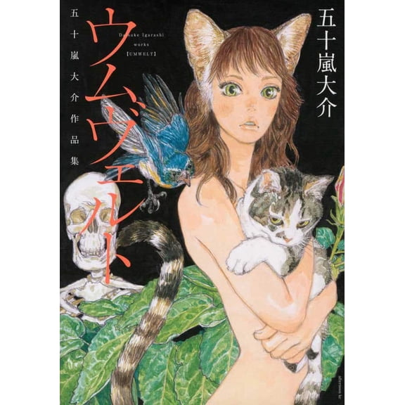Daisuke Igarashi Umwelt (Paperback)