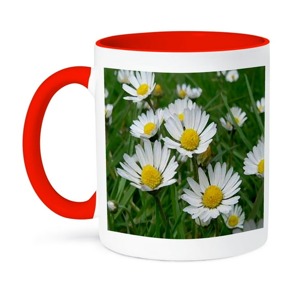Daisy Mug 11oz Two-Tone Red