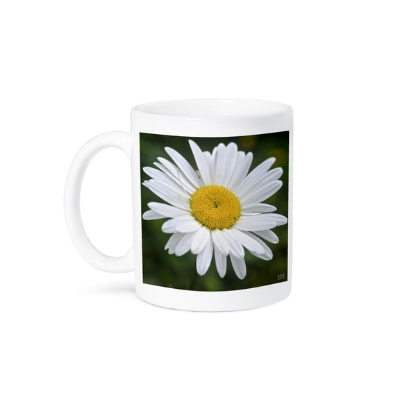 Daisy Mug 15oz