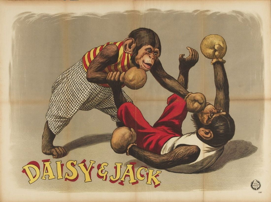 Daisy And Jack Boxing Monkeys Canvas Art - (36 x 54)