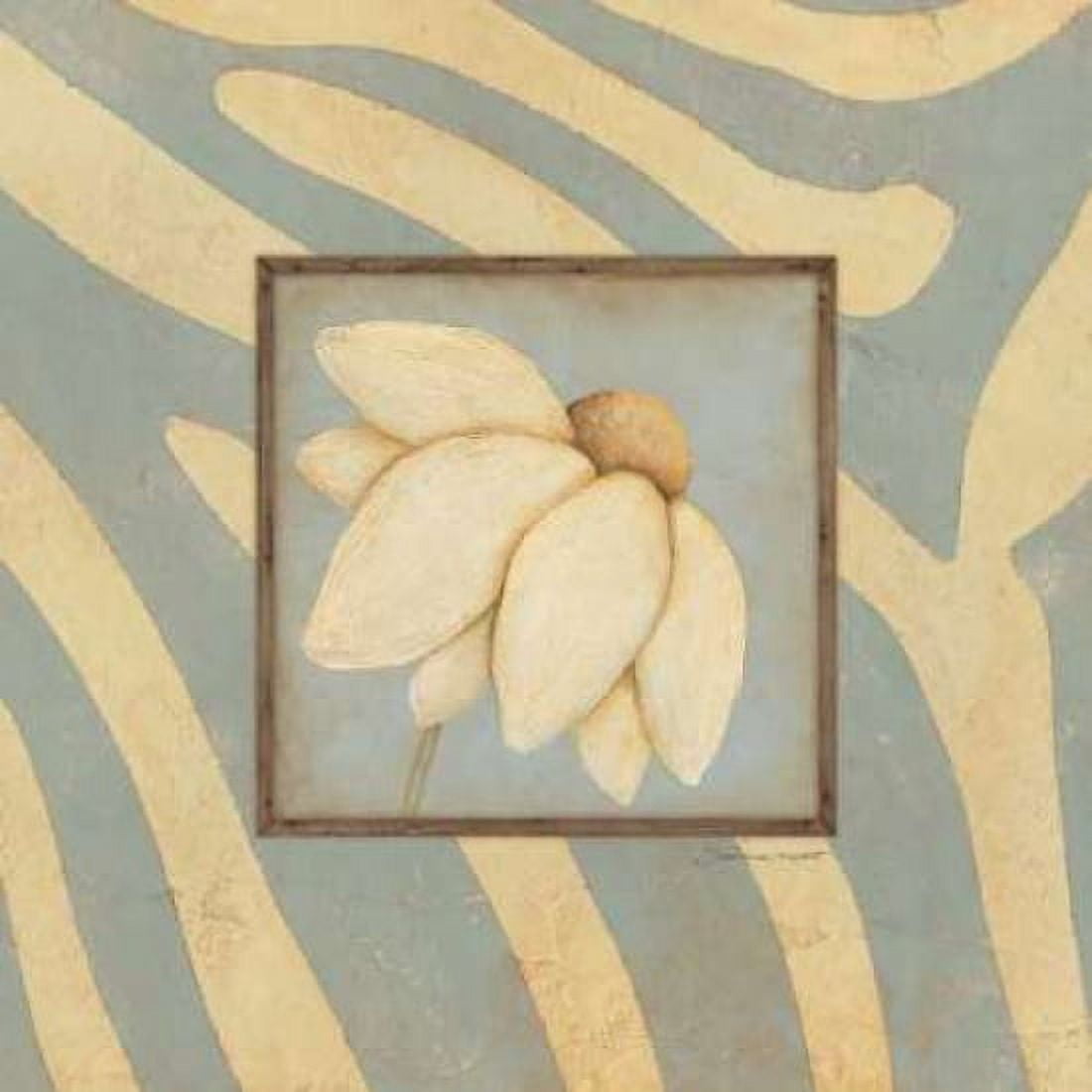Daisy Bloom Canvas Art - Stephanie Marrott (24 x 24)