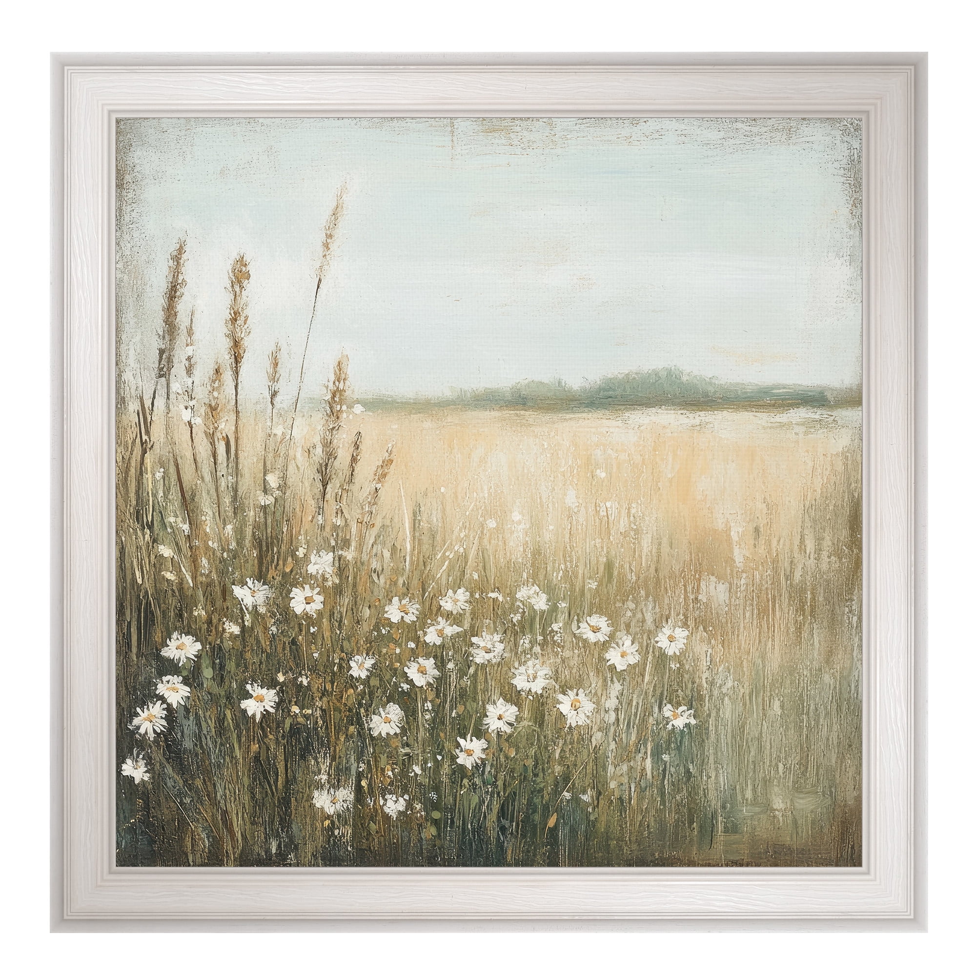 Daisy Dream Framed Canvas