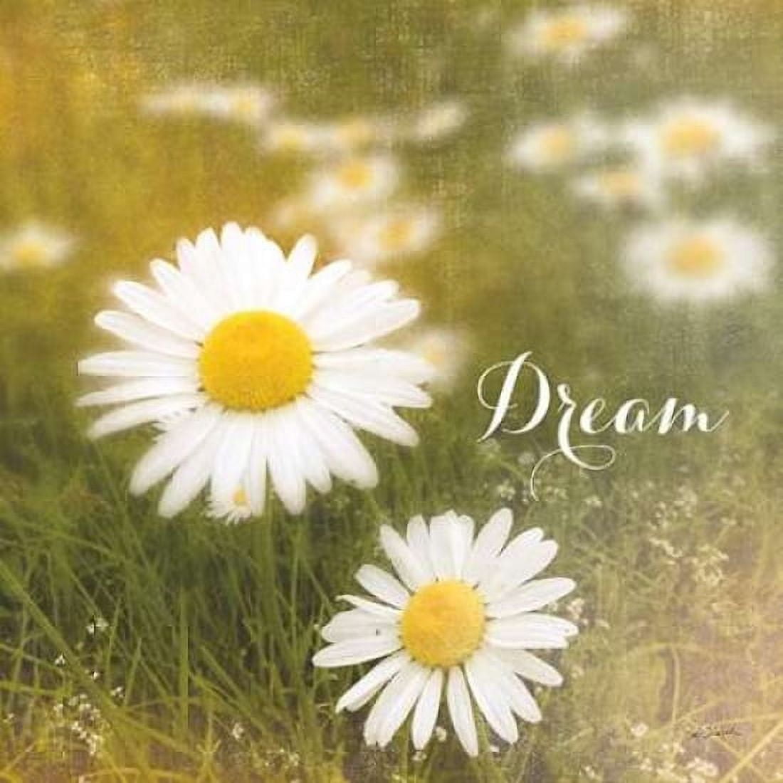 Daisy Dreams Canvas Art - Sue Schlabach (24 x 24)