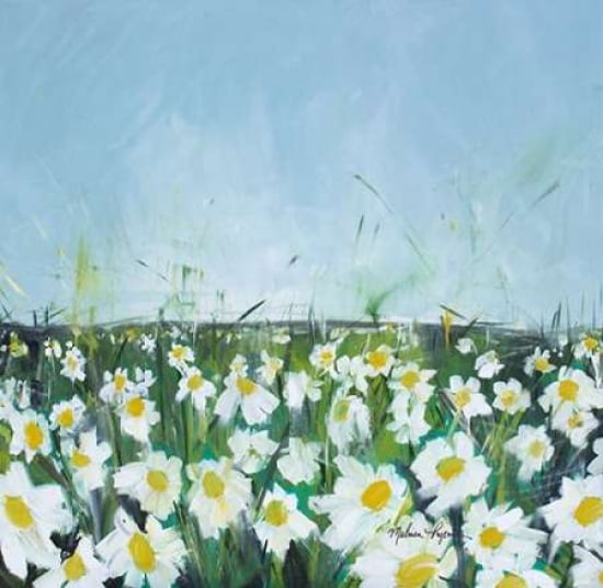 Daisy Field Canvas Art - Melissa Lyons (24 x 24)