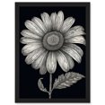 thumbnail image 1 of Daisy Flower Bloom Black and White Pencil Drawing Artwork Framed Wall Art Print A4, 1 of 4
