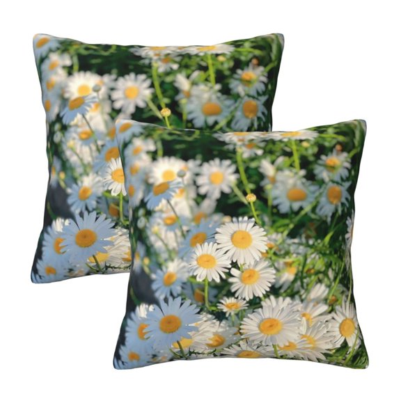 Daisy Flower Field Chamomile Floral Decorative Cushion Covers Pillow Covers 2 Pack