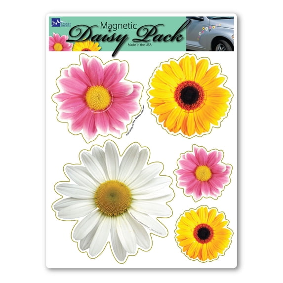Daisy Flower Pack Magnet