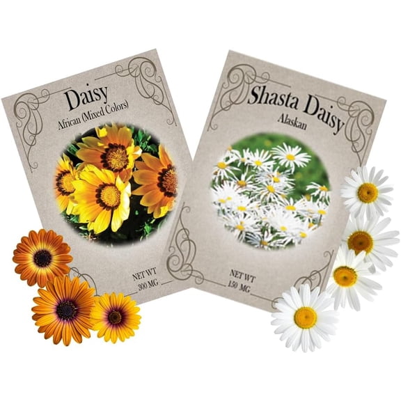Daisy Flower Seed Variety Pack 200 Seed Packets