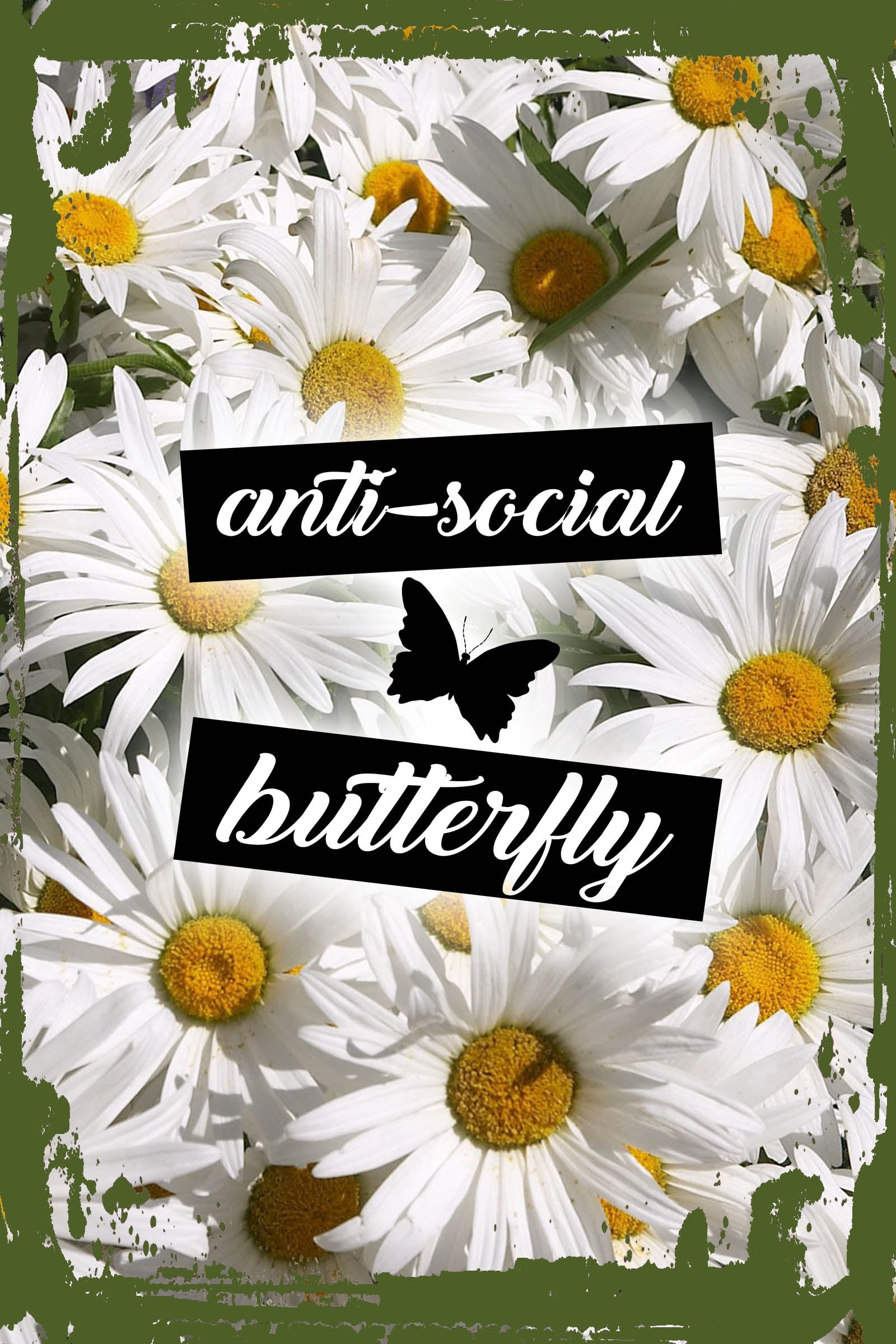 Pride Insects Daisy Flower Wall Art Anti-Social Butterfly Funny Introvert Personality ...