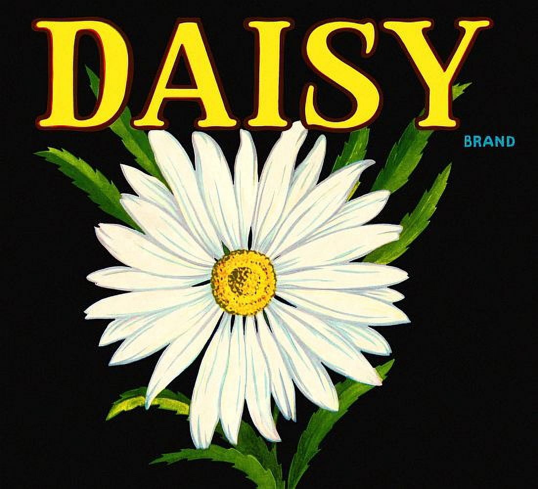 Daisy Flower label Canvas Art -  (36 x 54)