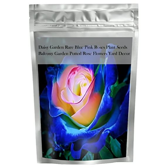 Daisy Garden 100 Rare Blue Pink Roses Plant Seeds