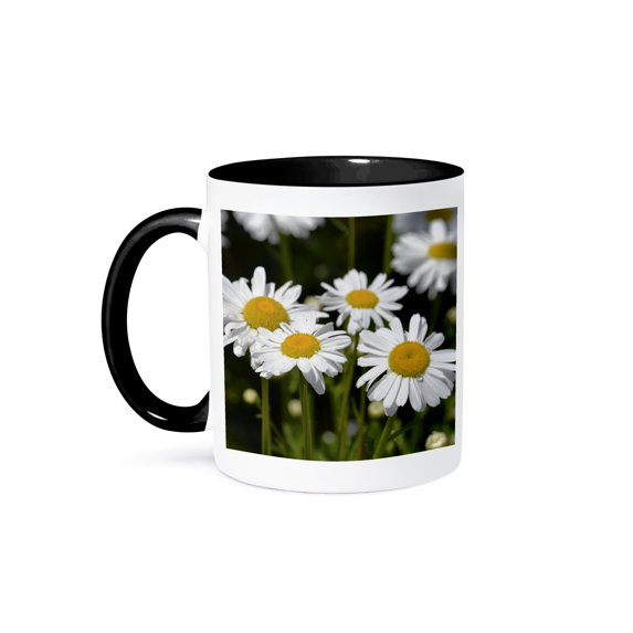 Daisy Garden - Spring Flowers - Floral Print, 15oz Two-Tone Black Mug