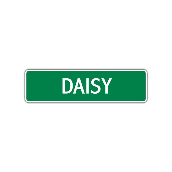 Daisy Girls Children Name Letter Printed Indoor Outdoor Unique Wall Novelty Plaque Decoration Label Aluminum Metal Sign 4"x13.5"