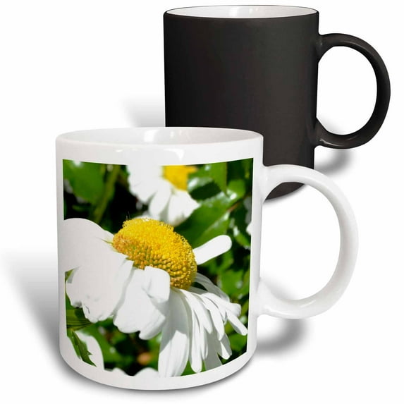 3drose, Daisy Inspiration, 11oz Magic Transforming Mug