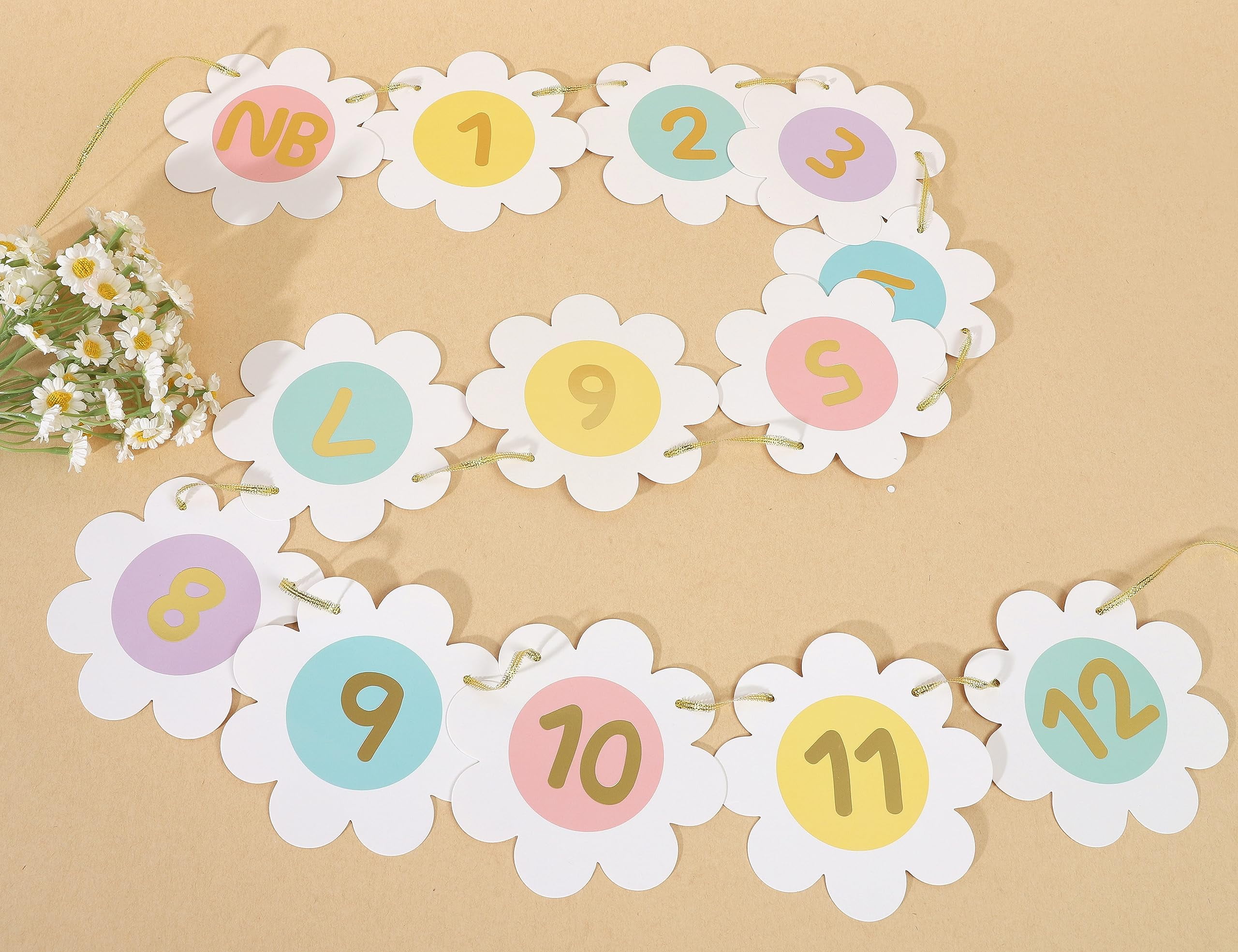 Daisy 12 Monthly Photo Banner - First Birthday Decor, Groovy One Milestone Banner - View #2