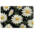 thumbnail image 1 of Daisy Polyester Door Rugs - Non-Slip Floor Rugs - Machine Washable Area Rugs, 1 of 6