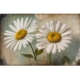 thumbnail image 1 of Daisy Retro Aluminum Sign 12"x8" Metal Sign White Daisy Flower Farmhouse Wall Decor Antique Living Room Decor Tin Garden Signs for Cafes Club Pub Man Cave Wall Sign Gifts, 1 of 6