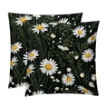 thumbnail image 1 of Daisy Set of 2 Velvet Throw Pillow with Unique Patterns - 16x16, 18x18, 20x20 Inches for Various Occasions - Pillows Covers Throw Pillow Inserts Pillow Inserts, 1 of 6