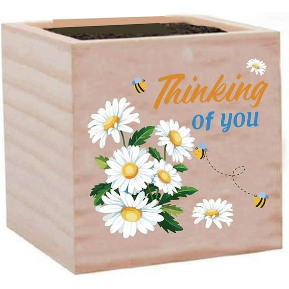 Daisy Wood Planter Box Cube Flower Pot Square Small Rustic Home Desk Decor Decorative