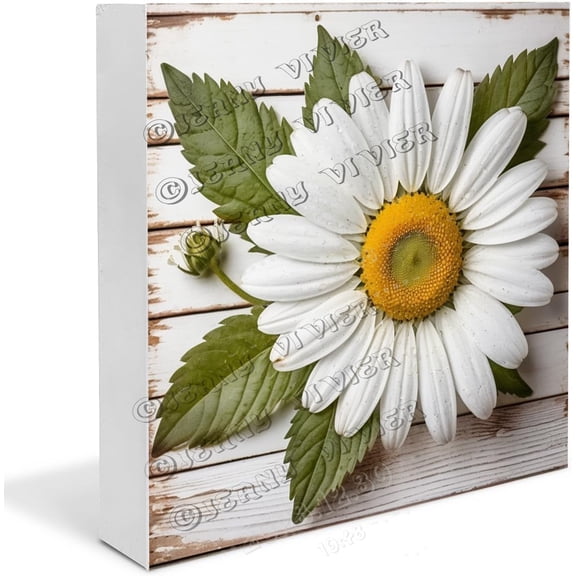 Daisy Wooden Box Sign Gifts for Men Funny Spring Themed Decor Chic Bedroom Decor Rustic Table Decor Centerpiece Wood Block Signs For Shelf Desk Decoration 5x5 in
