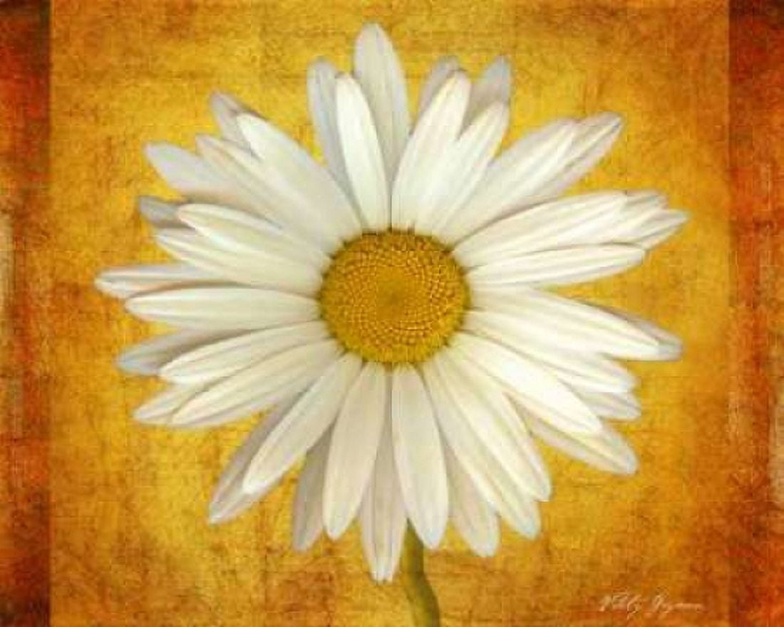 Daisy in Gold Canvas Art - Vitaly Geyman (24 x 30)